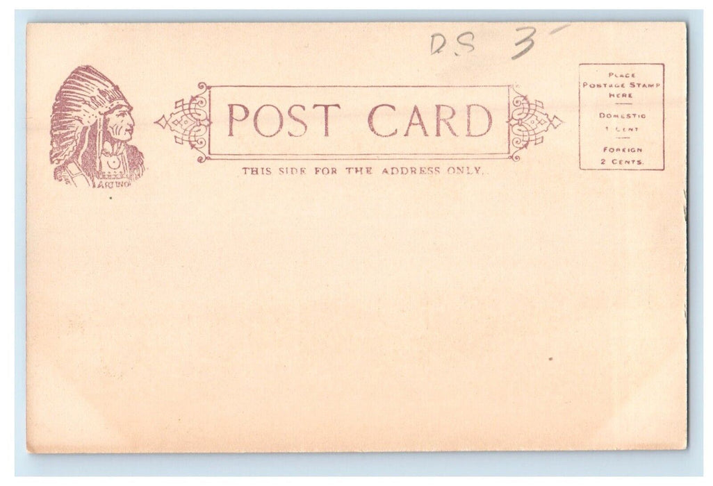 c1905 Oneonta NY, D And H Depot Station Railroad Train Unposted Antique Postcard