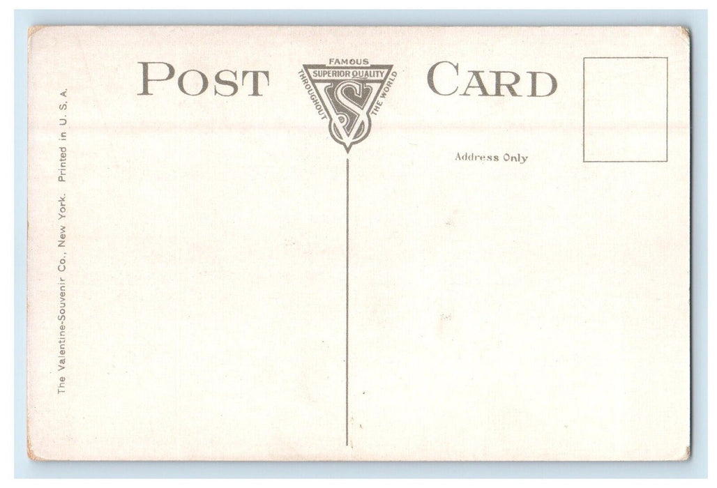c1910's D. L. & W. Railroad Depot Station Mount Morris New York NY Postcard