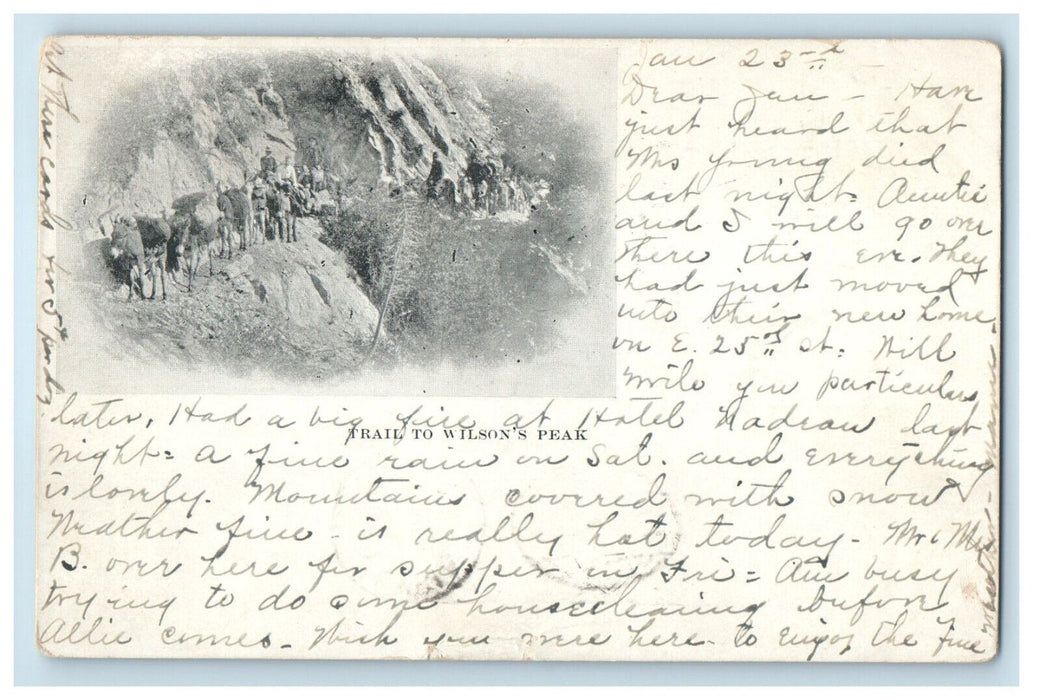 1905 Trail To Wilson's Peak Los Angeles CA, Elyria OH Posted Postcard