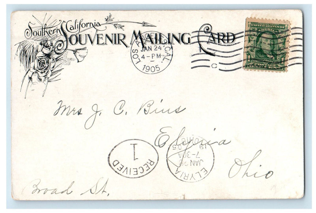 1905 Trail To Wilson's Peak Los Angeles CA, Elyria OH Posted Postcard