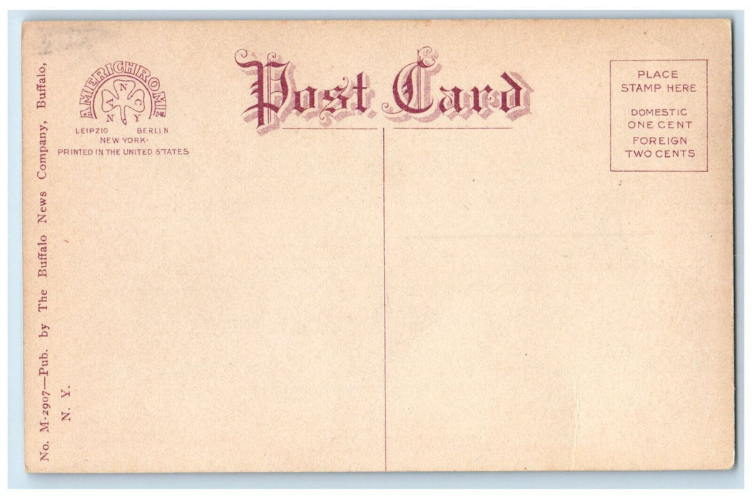 c1910 University of Buffalo Buffalo New York NY Antique Unposted Postcard