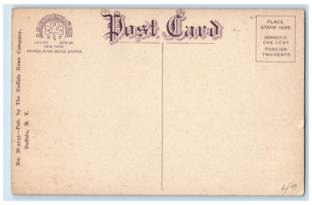 c1910 Trolley Car Horse Carriage William Street Buffalo New York NY Postcard