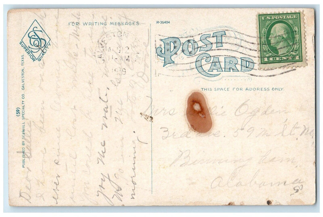 1919 Sample Of Beautiful Tropical Foliage Entrance Galveston Texas TX Postcard