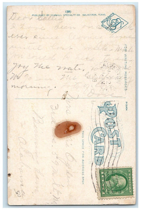 1919 Sample Of Beautiful Tropical Foliage Entrance Galveston Texas TX Postcard