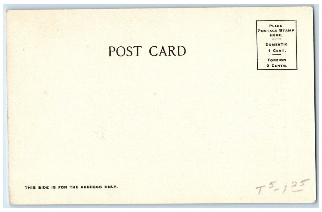 Greetings From San Antonio Texas TX, The Alamo Built 1718 Antique Postcard