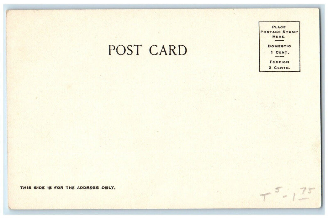 Greetings From San Antonio Texas TX, Multiview Unposted Antique Postcard