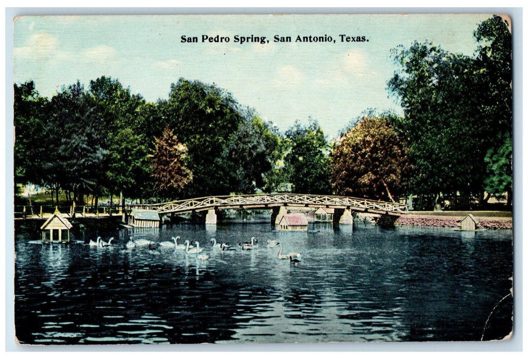1914 San Pedro Spring San Antonio Texas TX, Bridge River Swan Scene Postcard