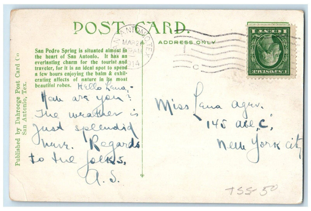 1914 San Pedro Spring San Antonio Texas TX, Bridge River Swan Scene Postcard