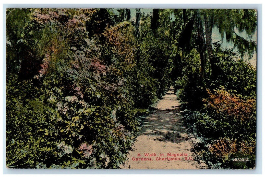 1911 A Walk In Magnolia Gardens Charleston South Carolina SC Posted Postcard