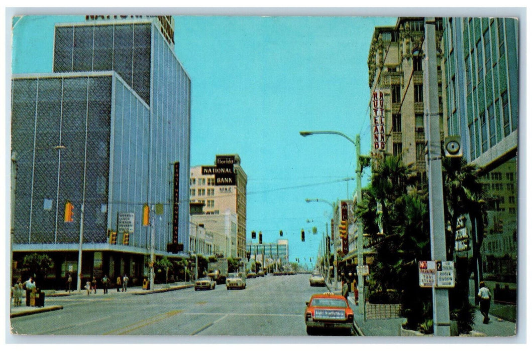 1972 Palm Lined Central Avenue Downtown St. Petersburg Florida FL Postcard