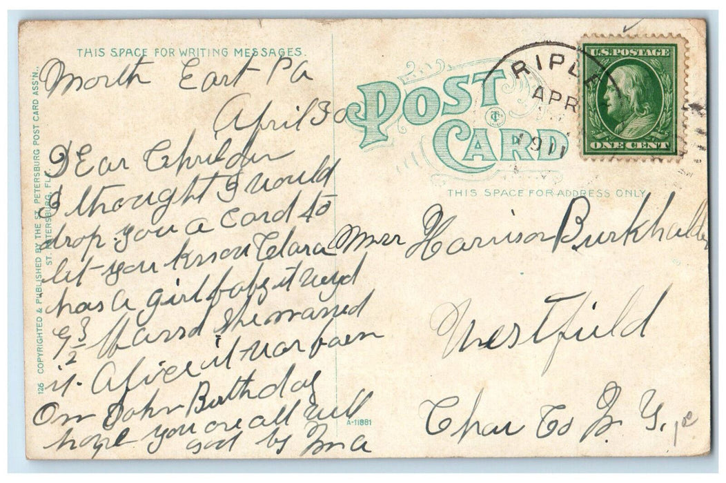 1911 Indian Shell Mound St. Petersburg Florida FL Antique Posted Postcard