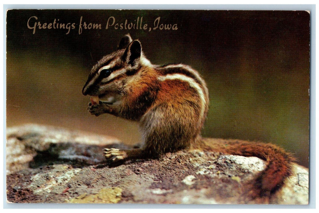 c1960's Chipmunk Universal Habitant Greetings from Pestville Iowa IA Postcard