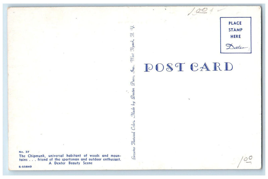 c1960's Chipmunk Universal Habitant Greetings from Pestville Iowa IA Postcard