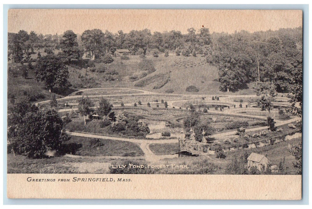 c1905 Lily Pond Forest Park Greetings from Springfield Massachusetts MA Postcard