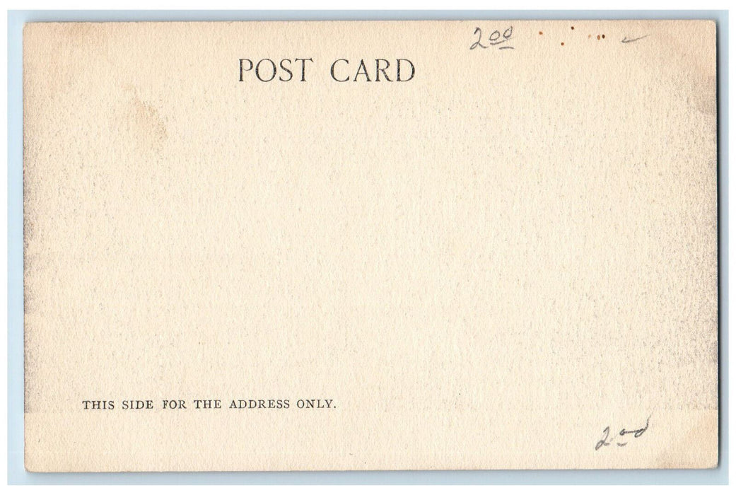 c1905 Lily Pond Forest Park Greetings from Springfield Massachusetts MA Postcard
