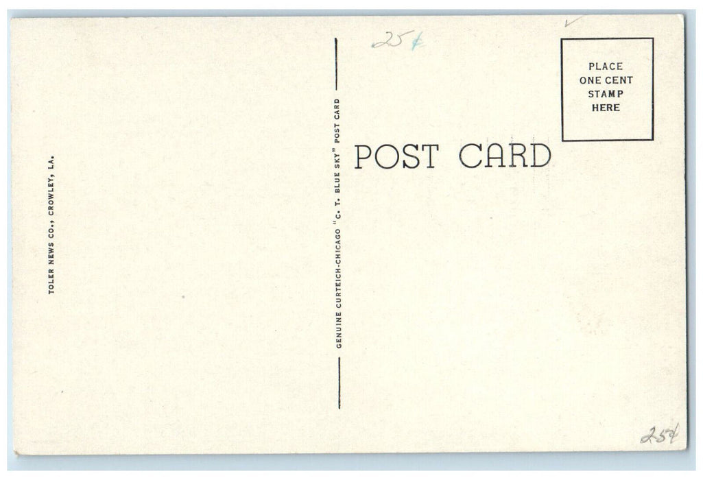 c1920's Moss Covered Highway Near Franklin Iowa IA Antique Unposted Postcard