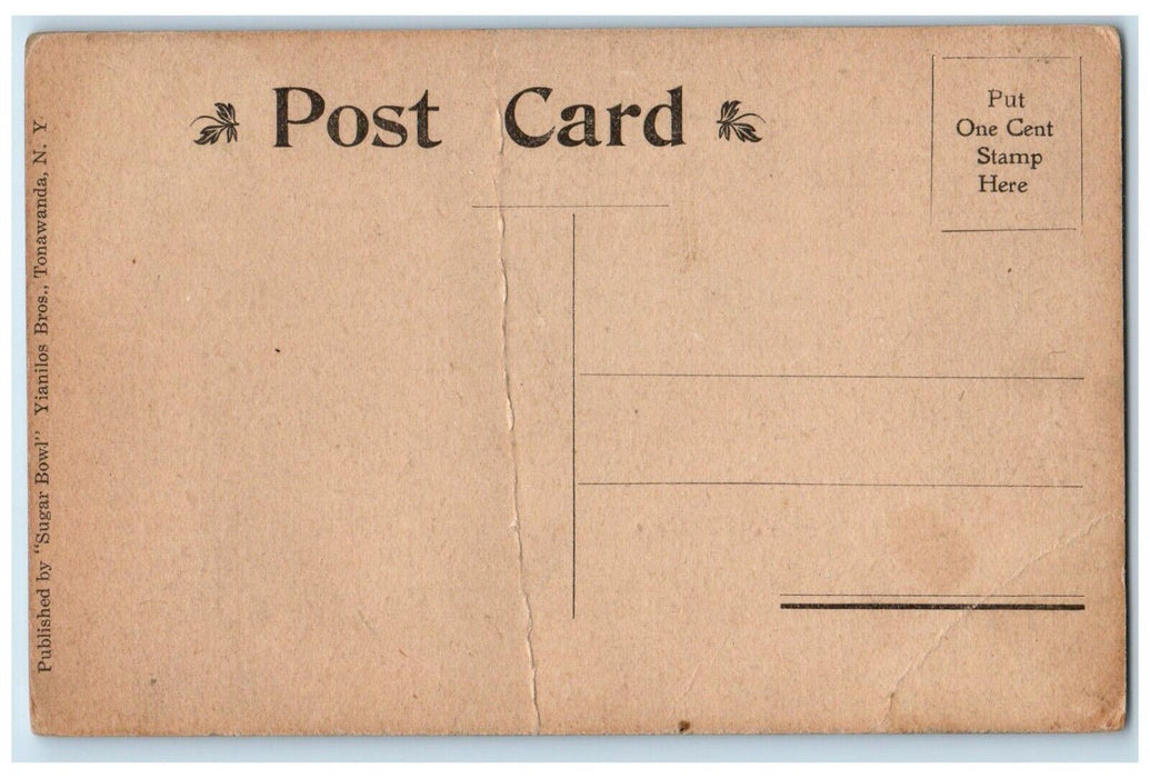 c1910 New Sugar Bowl Candies Soda Store Restaurant Tonawanda New York Postcard