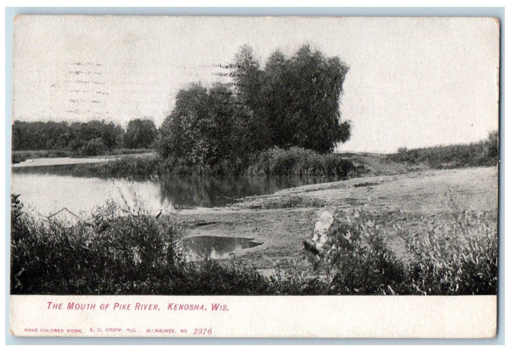 1909 Mouth Pike River Lake Trees Grass Field Kenosha Wisconsin Vintage Postcard