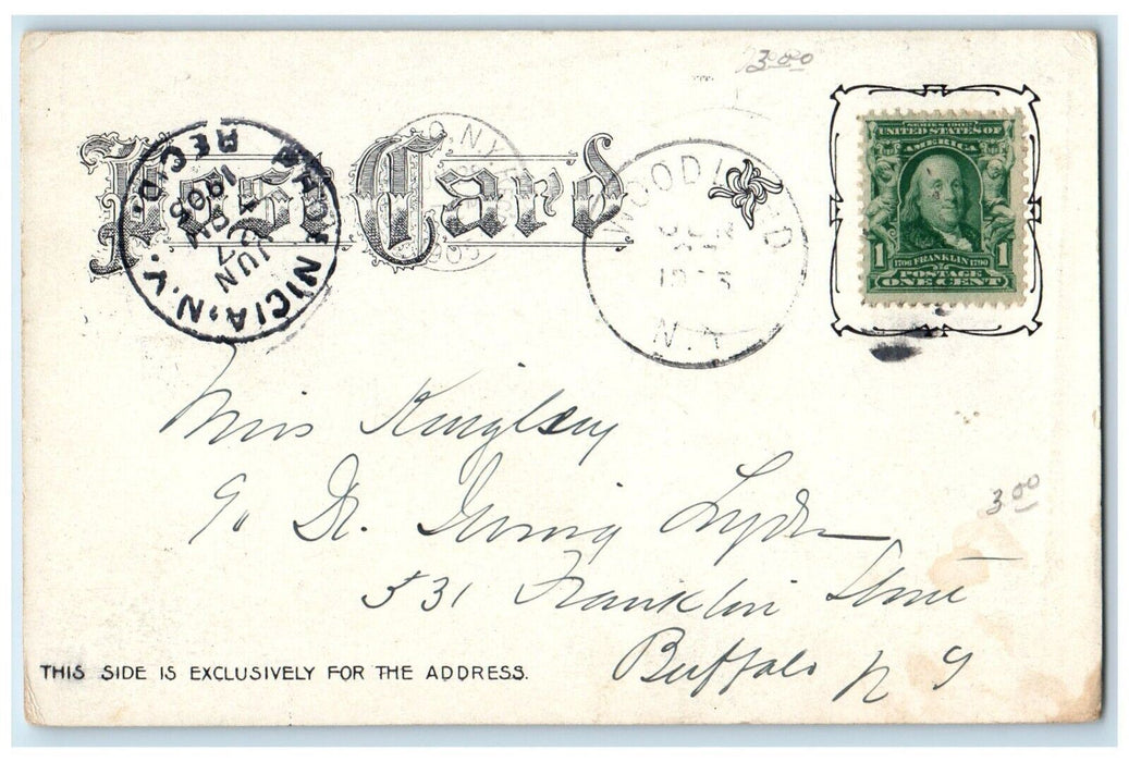 1905 Woodland Valley & Roxmor Catskill Mountains New York NY Antique Postcard