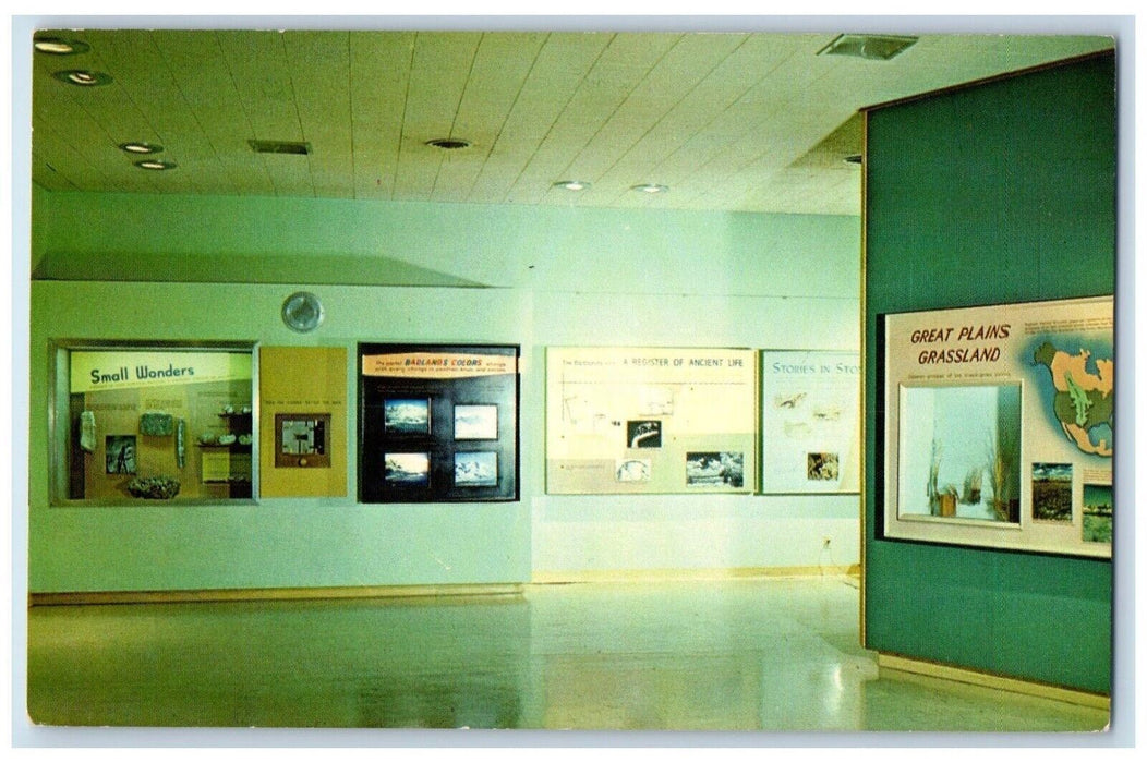c1950's Badlands National Monument Interior Exhibit Room South Dakota Postcard