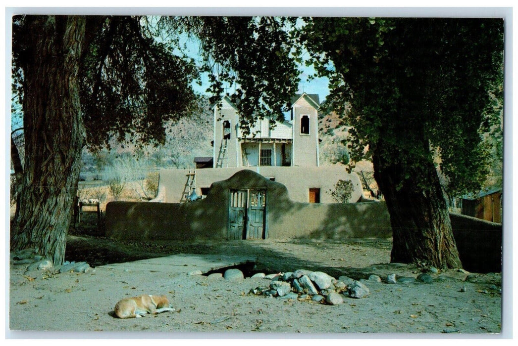 c1950's Santuario De Chimayo Dog Dirt Rock Espanola New Mexico NM Postcard