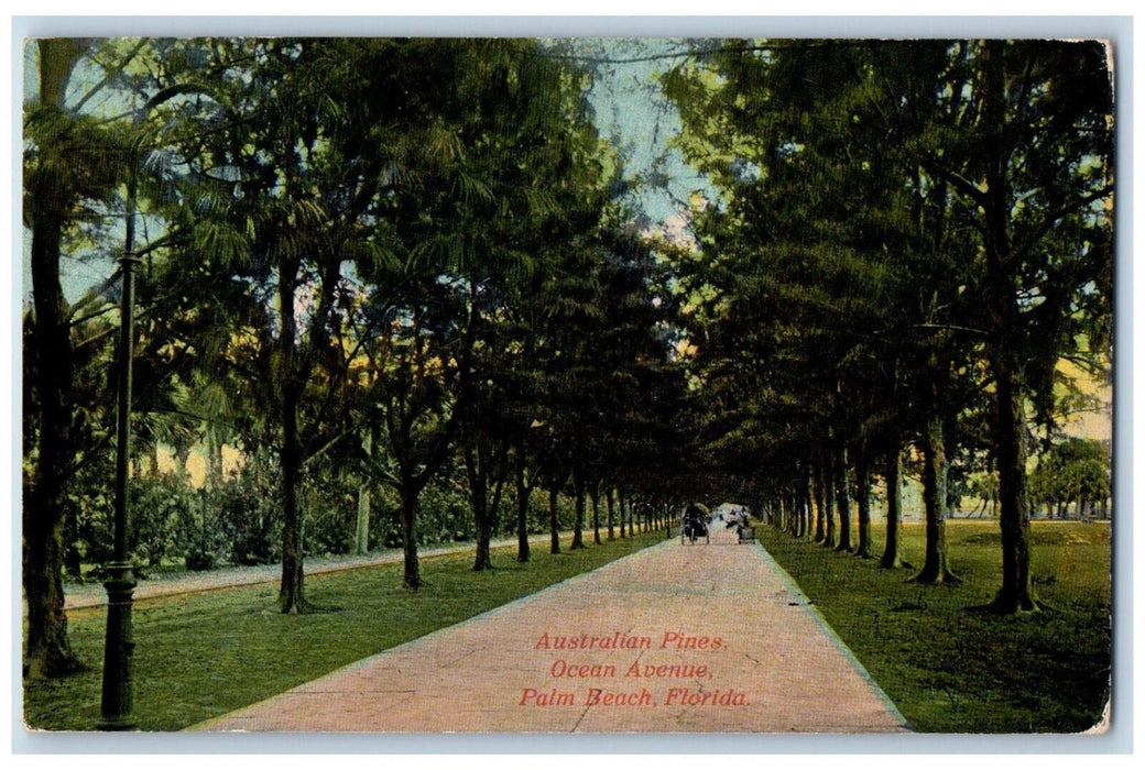 c1910 Australian Pines Ocean Avenue Palm Beach Florida FL Antique Postcard