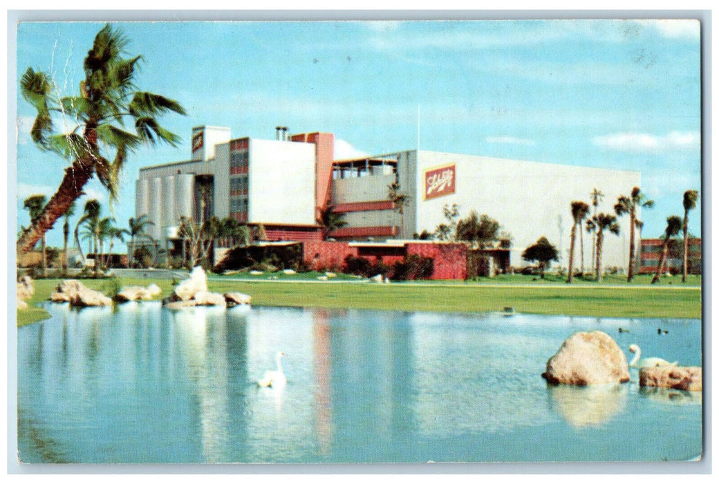 1966 Four Generations of Brewing Skill at Schlitz Tampa Plant FL Postcard