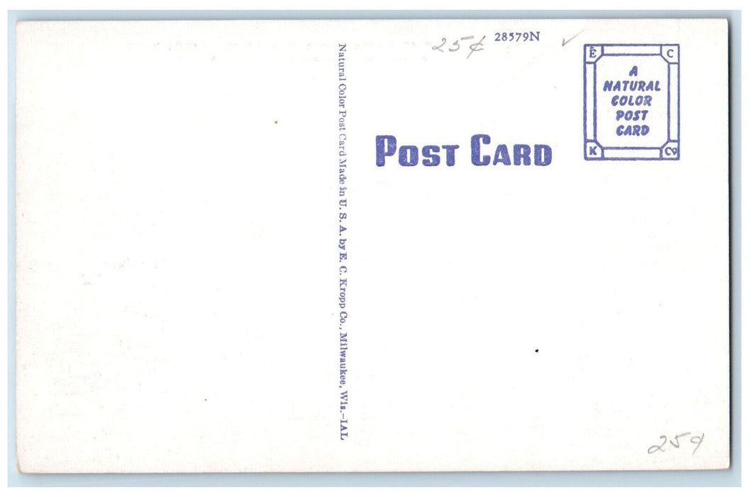 c1950's Elkhart River at Mouth Island Park Elkhart Indiana IN Postcard