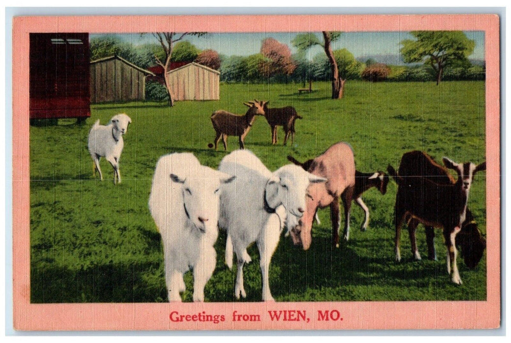 c1930's Greetings From Wein Missouri MO, Goat Farm Scene Vintage Postcard