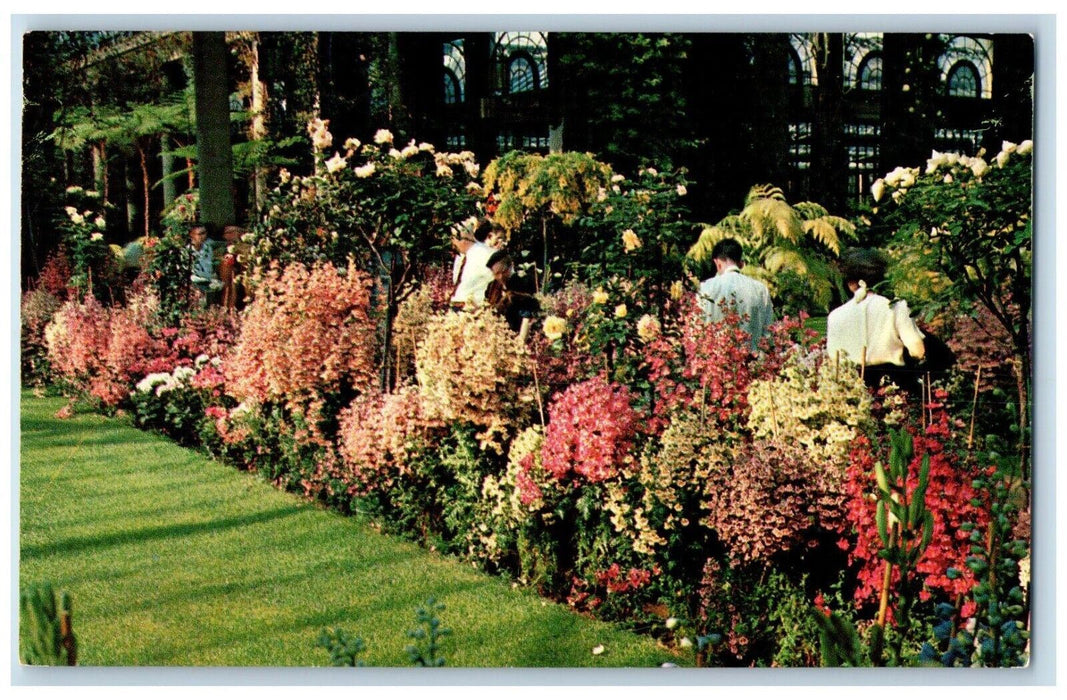 c1960 Flowers Conservatory Longwood Gardens Wilmington Delaware Vintage Postcard