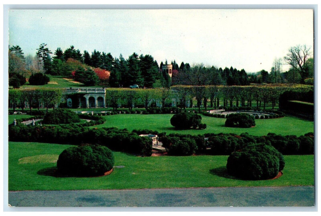 c1960 Longwood Gardens Bush Grass Field Plants Near Wilmington Delaware Postcard