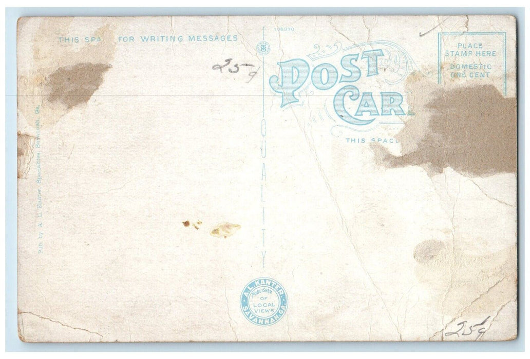 c1920 Entrance Colonial Park Road Street Pine Trees Savannah Georgia GA Postcard