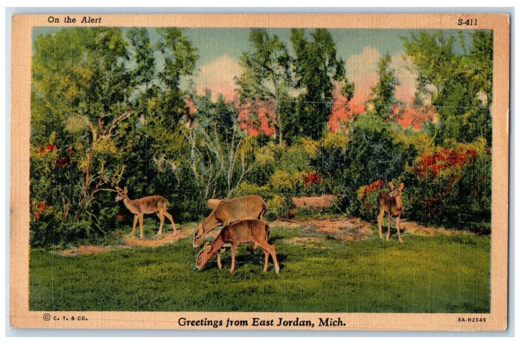 1941 Greetings From East Jordan Michigan MI, Scene Deer At Forest Postcard