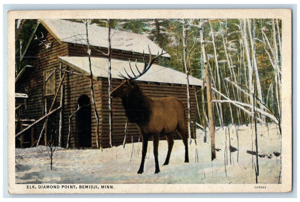 1936 Elk Diamond Point Winter Scene Bemidji Minnesota MN Posted Vintage Postcard