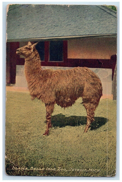 1910 Llma Bebbe Isle Zoological Detroit Michigan MI Antique Posted Postcard