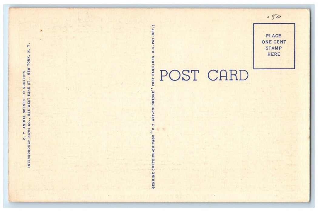 c1930's Greetings From Camdem New York NY, Deer In Forest View Postcard