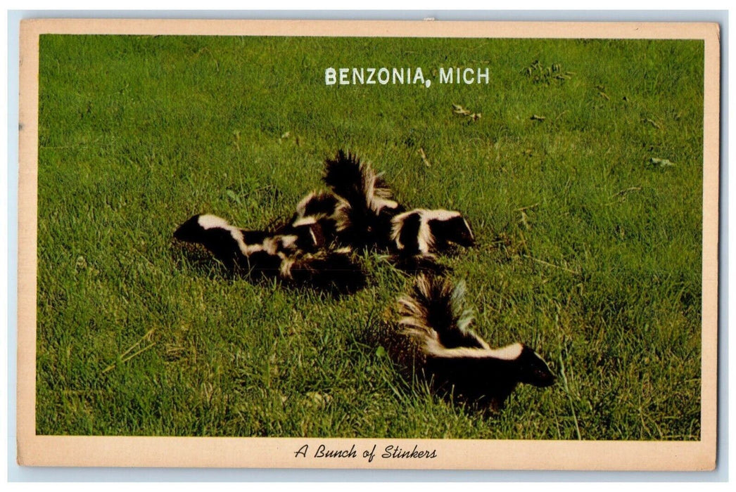 c1930's A Bunch Of Stinkers Skunks Benzonia Michigan MI Vintage Postcard