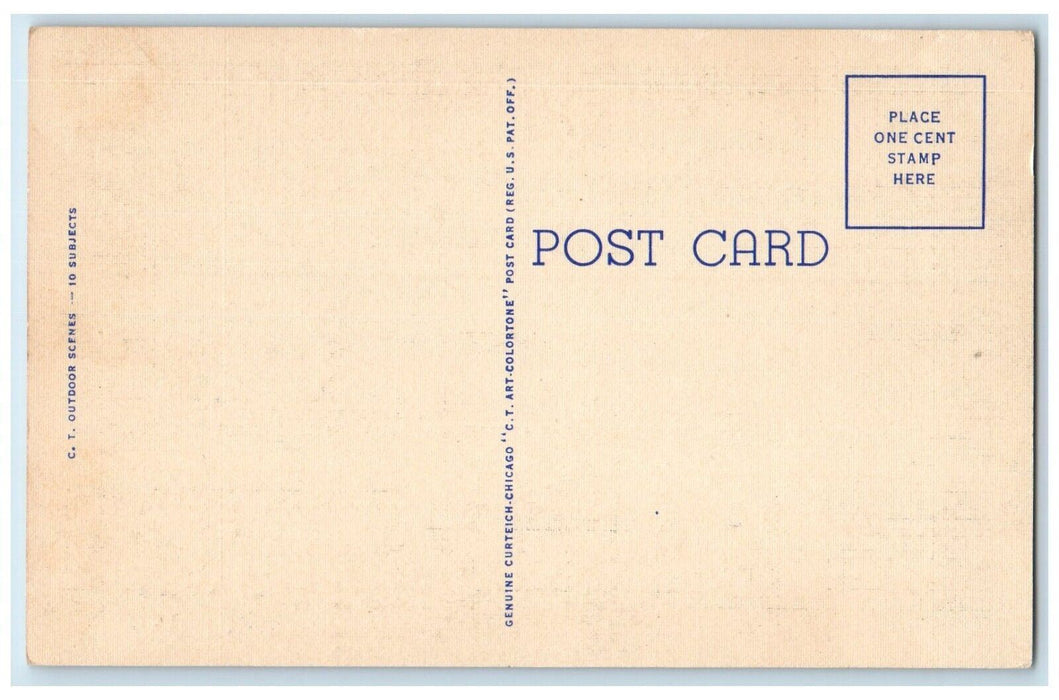 Camping In Saginaw Bay Canoeing Tent Bonfire Bay City Michigan MI Postcard