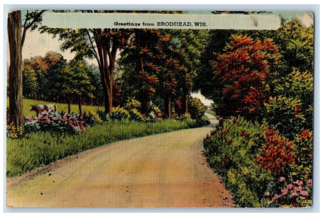 1949 Greetings From Brodhead Wisconsin WI, Dirt Road View Vintage Postcard