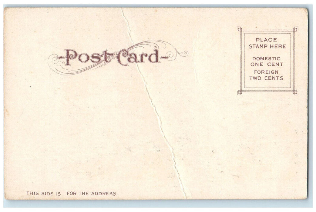 c1905 Sidewalk Merchants in Chinatown San Francisco California CA Postcard