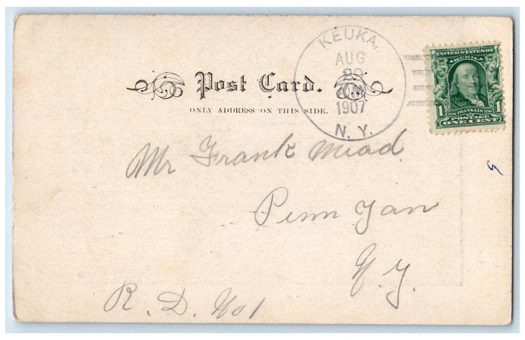 1907 Animals "Getting Ahead in the World" Rural Scene Keuka NY Postcard