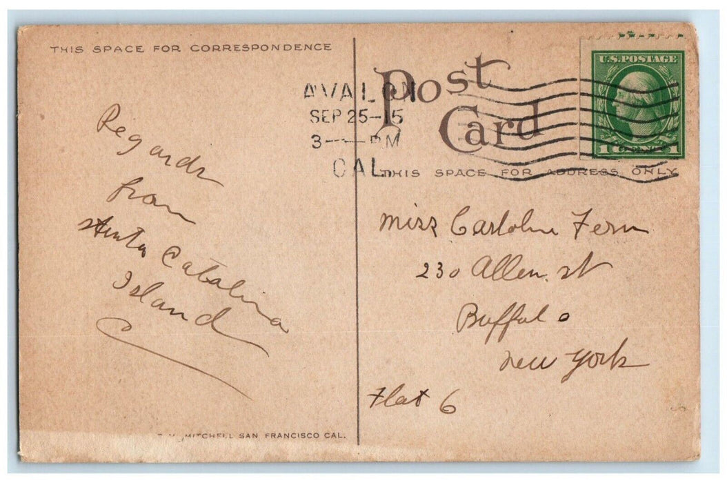 1915 Street Scene Bristol Cafe Hotel Avalon Catalina Island CA Antique Postcard