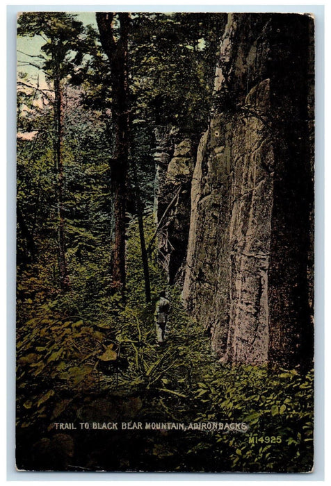 c1910 Trail to Black Bear Mountain Adirondack Mountains New York NY Postcard