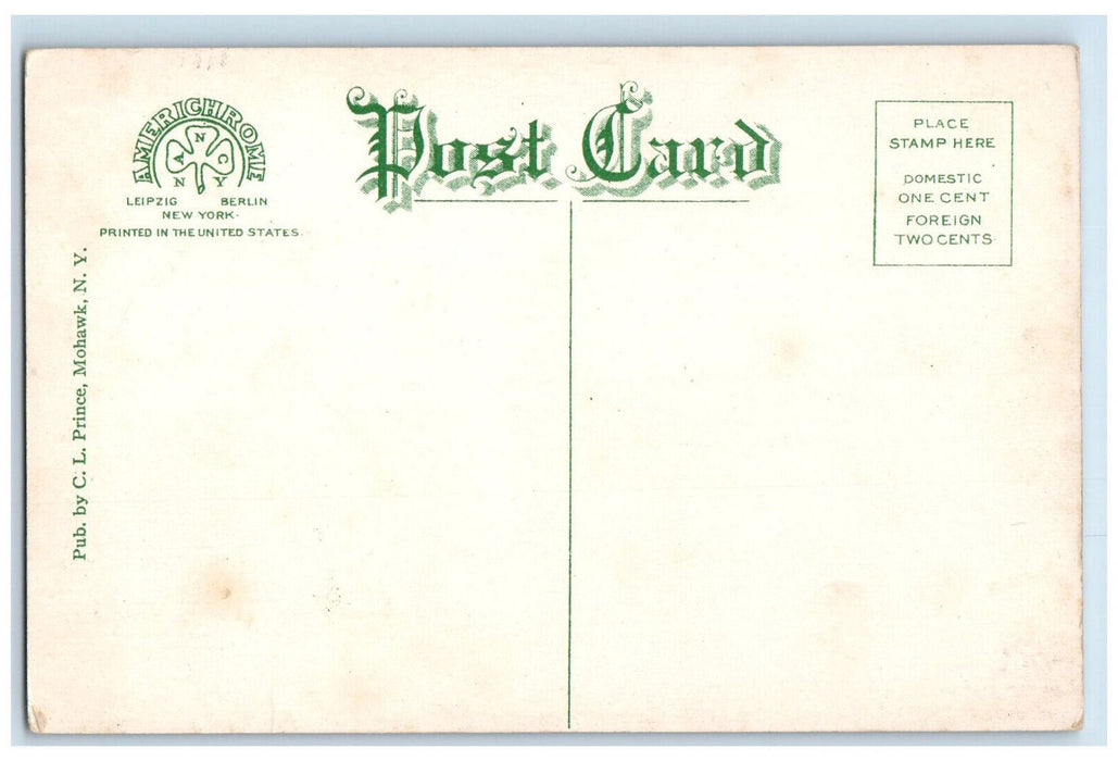 c1910 Trail to Black Bear Mountain Adirondack Mountains New York NY Postcard
