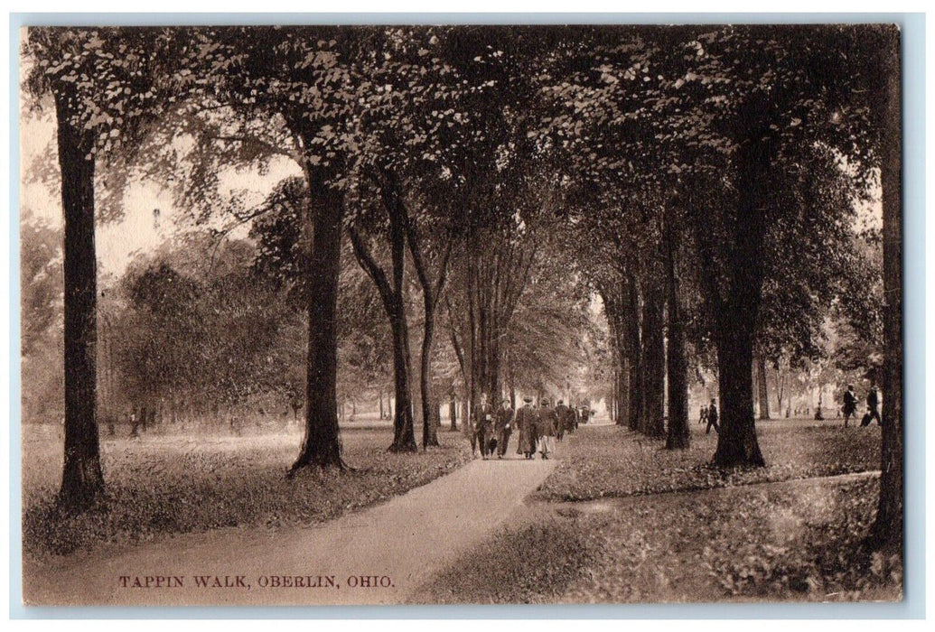 1910 Tappin Walk Street Road Grass Trees Oberlin Ohio Vintage Antique Postcard