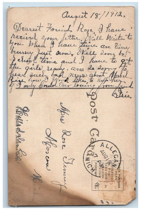 1912 Locust Street Hardware Stores Dirt Road Allegan Michigan MI Posted Postcard