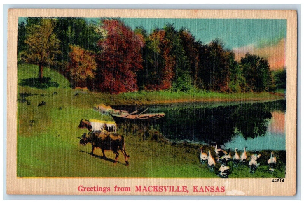 1942 Greetings From Macksville Kansas KS, Animals Boat Rivew View Postcard