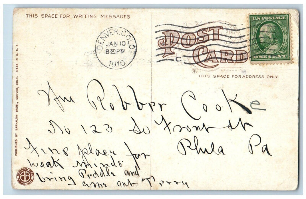 1910 View Of Pheasant In City Park Denver Colorado CO Posted Antique Postcard