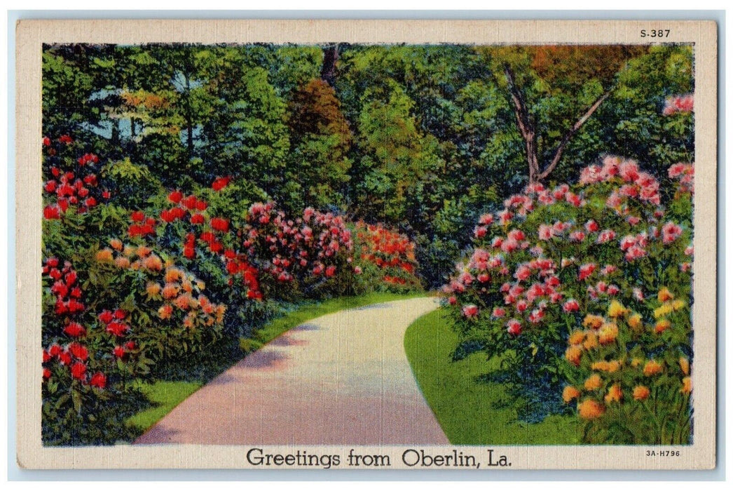 c1930's Greetings From Oberlin Louisian LA, Flowers Road View Vintage Postcard