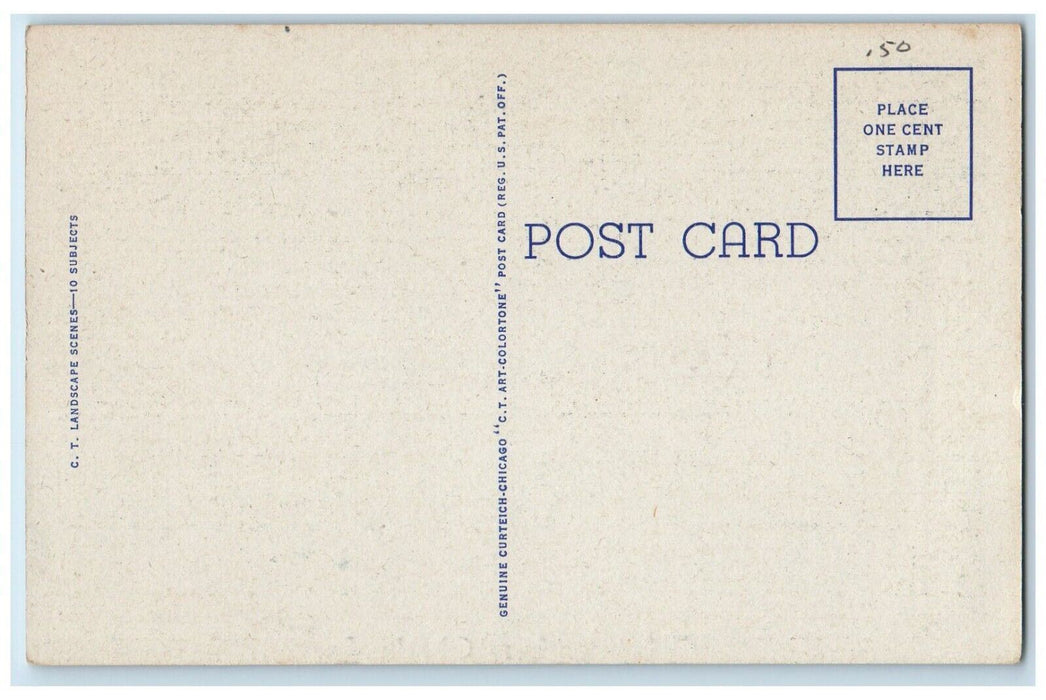 c1930's Greetings From Oberlin Louisian LA, Flowers Road View Vintage Postcard